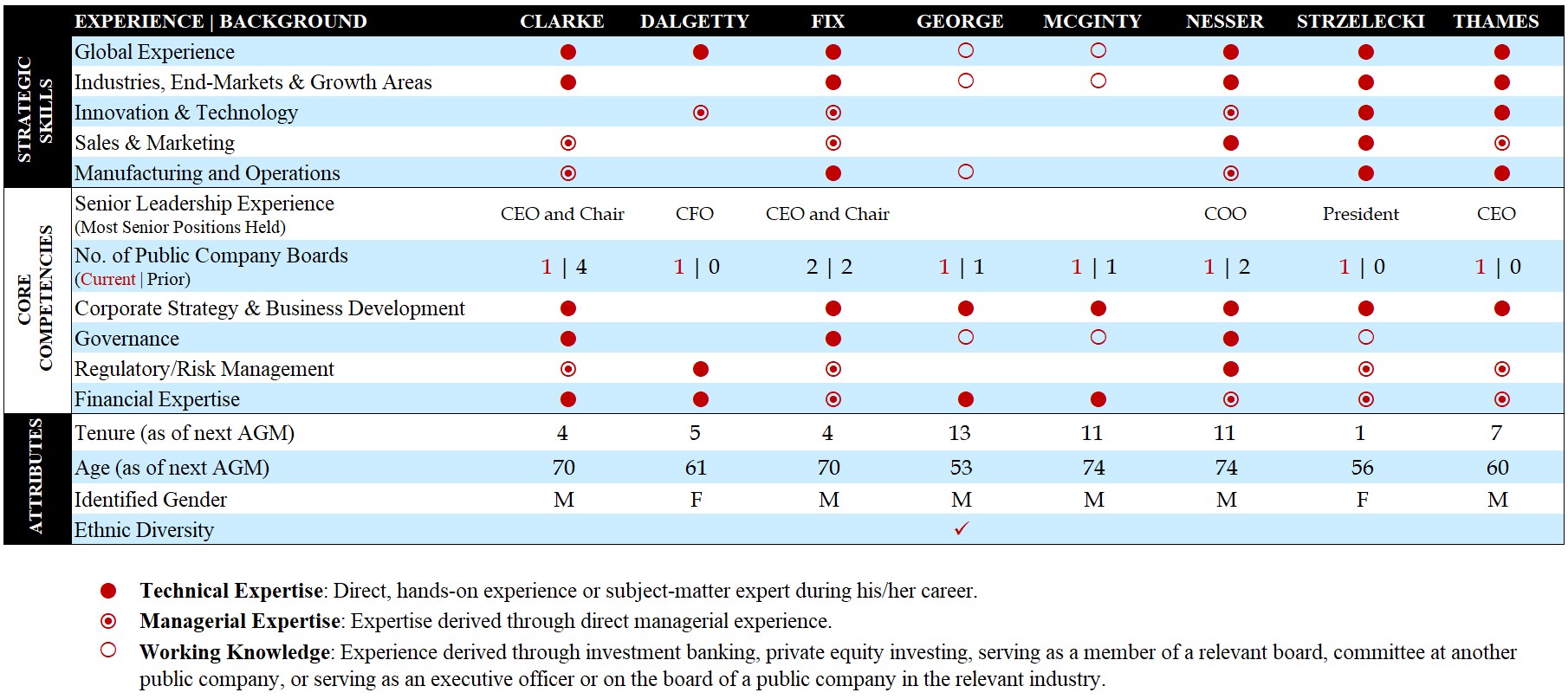 Director Experience Matrix.jpg